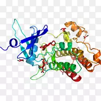 �ߵ������������-������