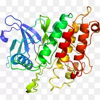 蔬菜有机体系列剪贴画-蔬菜-空若网 蔬菜有机体系列剪贴画-蔬菜-空若网