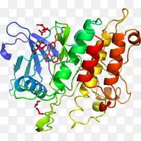 直线蔬菜点剪贴画线-空若网 直线蔬菜点剪贴画线-空若网
