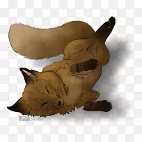 胡须,猫,狗,鼻子,爪子-空若网 胡须,猫,狗,鼻子,爪子-空若网