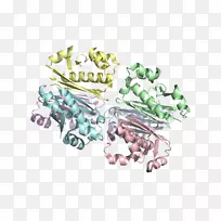 人体珠宝生物字体脂肪酸延伸途径-空若网 人体珠宝生物字体脂肪酸延伸途径-空若网