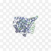 体饰品字体脂肪酸延伸途径-空若网 体饰品字体脂肪酸延伸途径-空若网