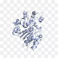 体饰品字体脂肪酸延伸途径-空若网 体饰品字体脂肪酸延伸途径-空若网
