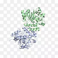 ����֬��������;��-������