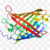 �ߵ������-��-������