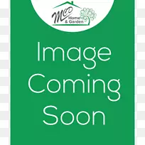 商标绿色字形线-空若网 商标绿色字形线-空若网