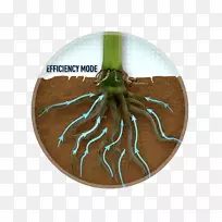 昆虫-空若网 昆虫-空若网