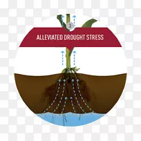 圣诞装饰圣诞树品牌树-空若网 圣诞装饰圣诞树品牌树-空若网