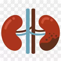 ��˥�����ಡ�����ͼ��.���༲��������-������