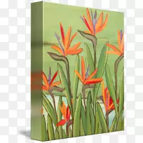 ����ֲ���ϩ��Ϳ�Ͼ�����ϩ����֬-����֮����-������