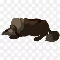 狗牛野生动物-狗-空若网 狗牛野生动物-狗-空若网