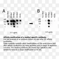 品牌线点字体线-空若网 品牌线点字体线-空若网
