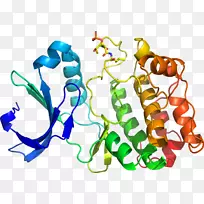 人体首饰有机体线剪贴画线-空若网 人体首饰有机体线剪贴画线-空若网