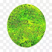 绿色法医学-科学-空若网 绿色法医学-科学-空若网