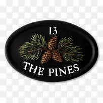 ʥ����װ��ʥ����-������