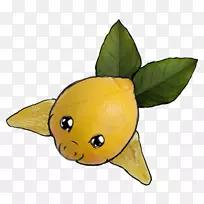 开花植物水果鱼植物.鱼-空若网 开花植物水果鱼植物.鱼-空若网