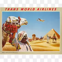 ���޺����滭��������������-������