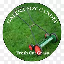 草坪草-空若网 草坪草-空若网