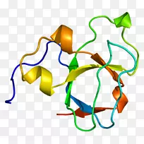 �ߵ������-��-������