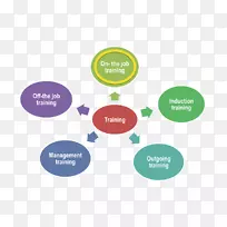 ��ѧ������ä���о���ѧ��֯-���ס��ͷ���-������