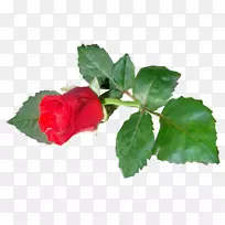 ²©¿ÍÈÕ¼ÇÉãÓ°»¨-ÂÞÈøË¹ÂÞ¹þ˹-¿ÕÈôÍø ²©¿ÍÈÕ¼ÇÉãÓ°»¨-ÂÞÈøË¹ÂÞ¹þ˹-¿ÕÈôÍø