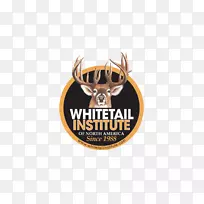 �ձ�¹�ư�β¹�о�������-��β¹-������