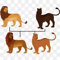 犬种狮子猫陆生动物树家族-空若网 犬种狮子猫陆生动物树家族-空若网
