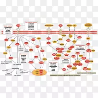 线点技术.线-空若网 线点技术.线-空若网