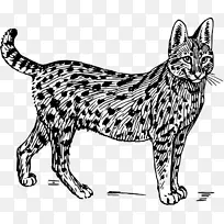 Ұè²ÝÔè¿Æ¶¯Îï¼ôÌù»-¿ÕÈôÍø Ұè²ÝÔè¿Æ¶¯Îï¼ôÌù»-¿ÕÈôÍø