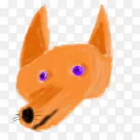 胡须,猫,狗,,鼻子-猫-空若网 胡须,猫,狗,,鼻子-猫-空若网