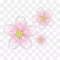 女花花瓣-女花-空若网 女花花瓣-女花-空若网