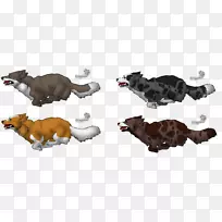 狗猫区系-空若网 狗猫区系-空若网