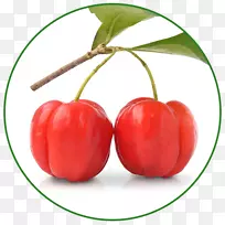 巴巴多斯樱桃维生素果-空若网 巴巴多斯樱桃维生素果-空若网