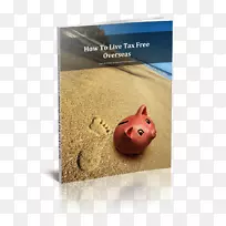 品牌鼻子字体设计-空若网 品牌鼻子字体设计-空若网