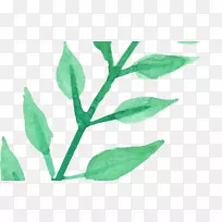 水彩画花儿水彩画剪贴画-空若网 水彩画花儿水彩画剪贴画-空若网