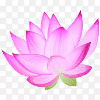 Nelumbo nucifera免费内容剪辑艺术-灵气剪贴画-空若网 Nelumbo nucifera免费内容剪辑艺术-灵气剪贴画-空若网