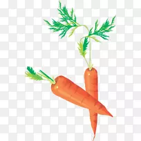 ���ܲ��߲�����-���ܲ���ͼ-������