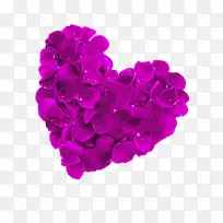 花瓣心夹艺术-梦花瓣爱情-空若网 花瓣心夹艺术-梦花瓣爱情-空若网