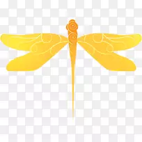 昆虫系-昆虫-空若网 昆虫系-昆虫-空若网