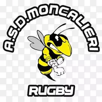 昆虫黄牌卡通剪贴画-昆虫-空若网 昆虫黄牌卡通剪贴画-昆虫-空若网