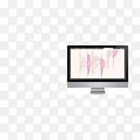 �������������Ӧweb��ƶ�ý��.��������-������