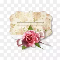 Adobe系统-栗色花卉-空若网 Adobe系统-栗色花卉-空若网