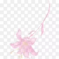 花瓣植物图-粉红色梦花-空若网 花瓣植物图-粉红色梦花-空若网