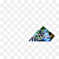 线-香港-空若网 线-香港-空若网