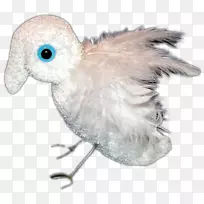 喙猫头鹰羽毛猫头鹰-空若网 喙猫头鹰羽毛猫头鹰-空若网