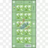 绿叶树-空若网 绿叶树-空若网