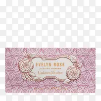 ��ԡ������ԡ��.ֲ������-������