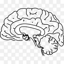 着色书科学家实验室科学-空若网 着色书科学家实验室科学-空若网
