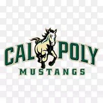 加州理工大学加州圣路易斯奥比斯波工程学院加州州立大学洛杉矶足球拉斯维加斯王牌-空若网 加州理工大学加州圣路易斯奥比斯波工程学院加州州立大学洛杉矶足球拉斯维加斯王牌-空若网