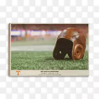 矩形小鸡图标-空若网 矩形小鸡图标-空若网